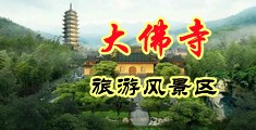 在附近找美女操B中国浙江-新昌大佛寺旅游风景区
